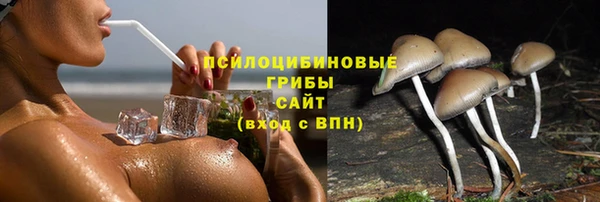 герыч Алзамай
