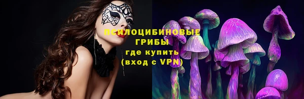герыч Алзамай