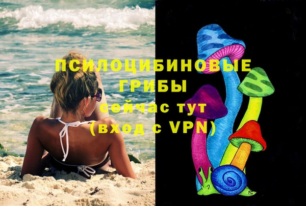 шишки Алексин
