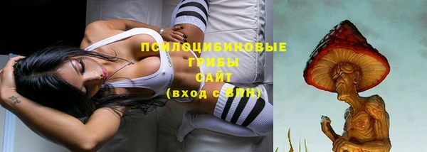 герыч Алзамай