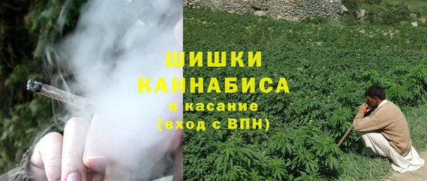 шишки Алексин