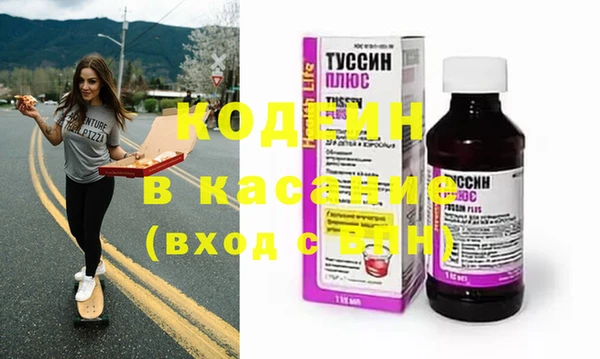 шишки Алексин