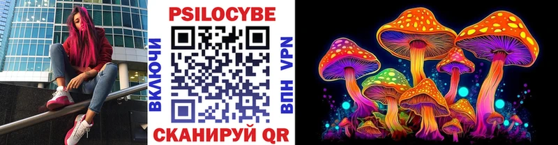 сколько стоит  Ессентукская  Галлюциногенные грибы Cubensis 